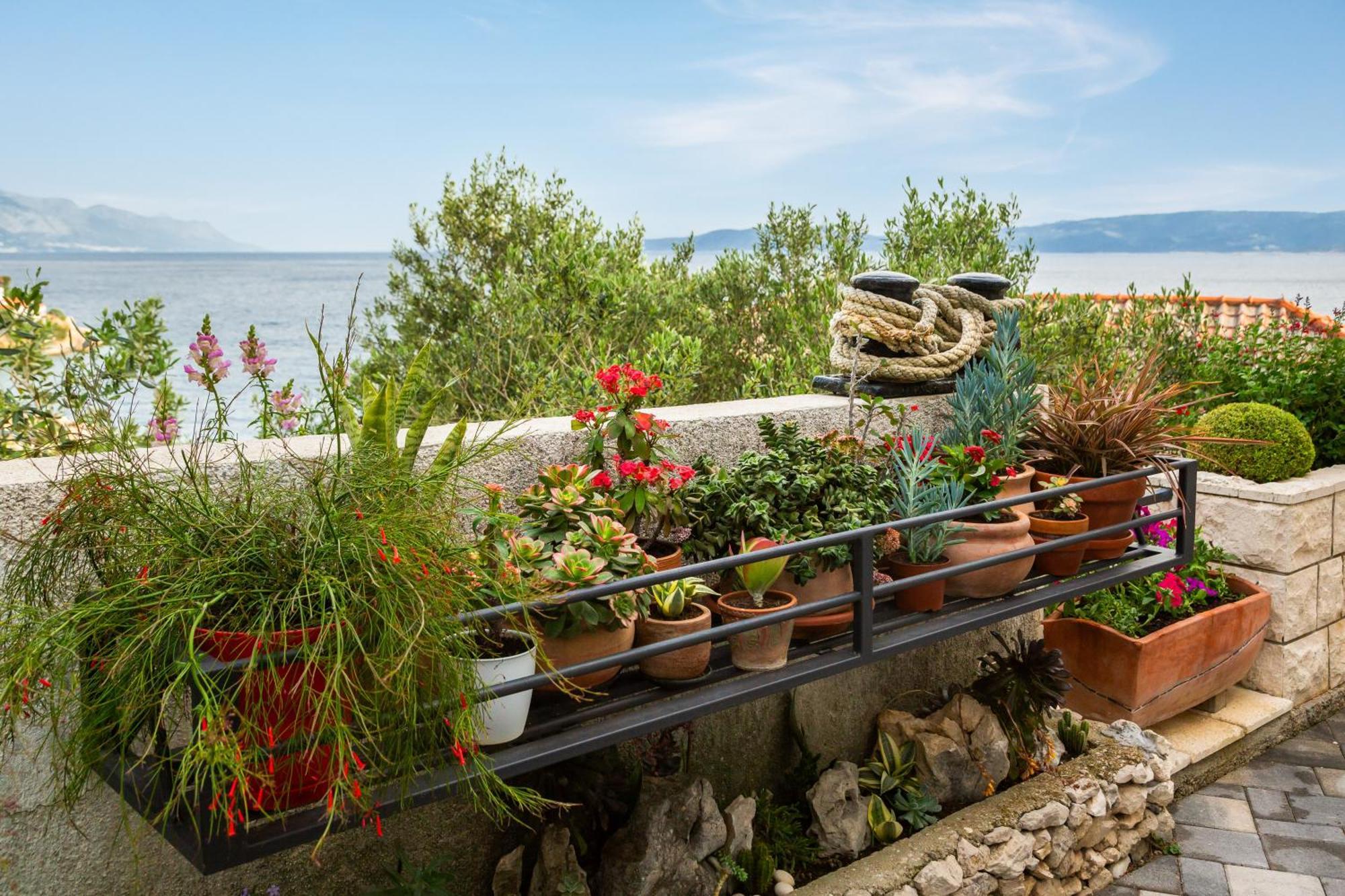 Seaside Apartment Kamelia Mimice Luaran gambar